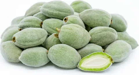 قیمت بادام درختی سبز + خرید باور نکردنی